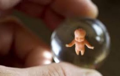 ULET NIVELI I ABORTEVE VITET E FUNDIT, NUMRI MË I MADH KRYHET NGA TË MARTUARAT DHE TË PAPAUNAT