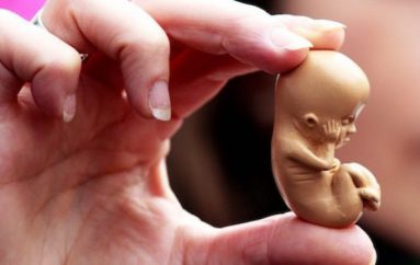 191 aborte për një mijë lindje në Shqipëri, selektiviteti gjinor problematikë