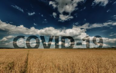 BUJQËSIA, VËSHTIRËSITË & “TË MIRAT” QË SOLLI COVID