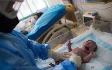 Profesioni më i vjetër në botë, mamitë në front të COVID për një jetë të re