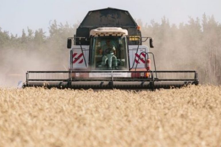 Ukraina eksporton drithërat e para me tren në Evropë