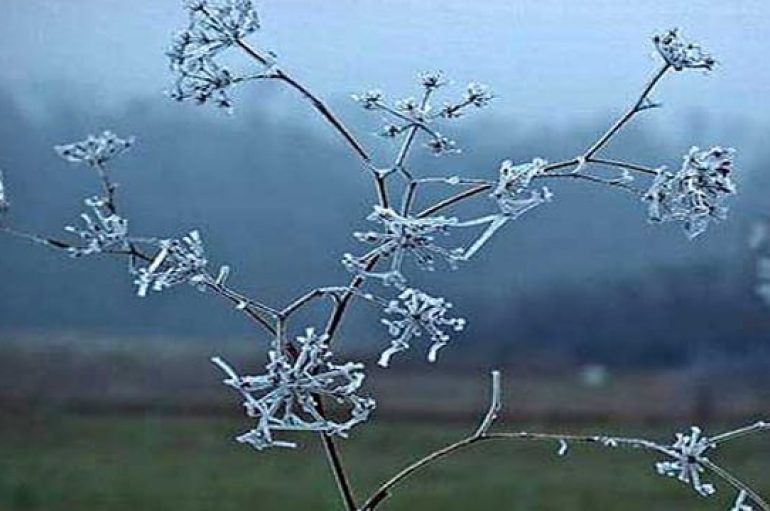 Moti për fundjavë dhe javën e ardhshme