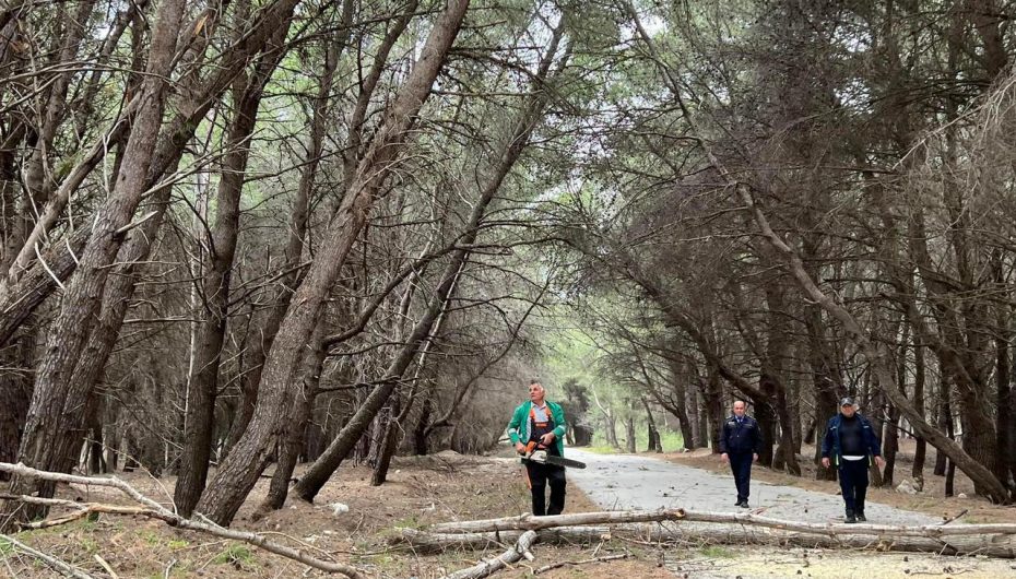 Moti me shi, pezullohet lundrimi në Durrës dhe Vlorë, rrëzohen shtylla tensioni në Pashaliman