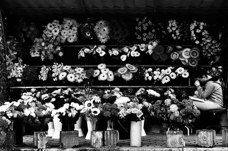 Vajza që shet tulipanë në varreza