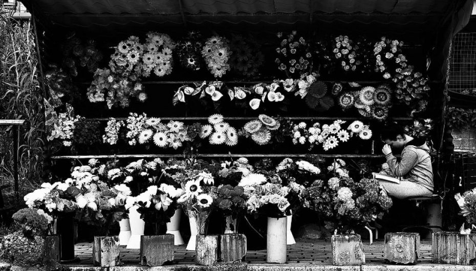 Vajza që shet tulipanë në varreza