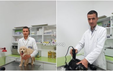 A duhen adoptuar qentë e rrugës? Mjeku veterinar: Nga sëmundjet që rrezikoni te “mrekullitë” e kafshëve shtëpiake