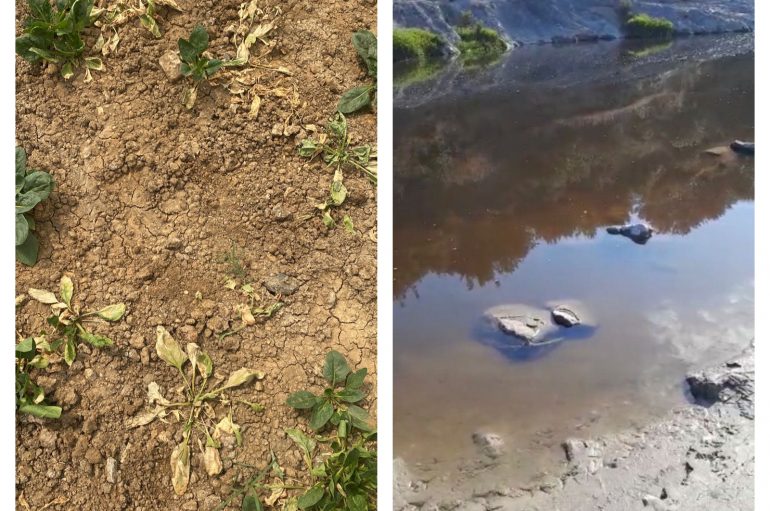 Ndotja e lumit Erzen shkatërron prodhimet e serave në Ndroq