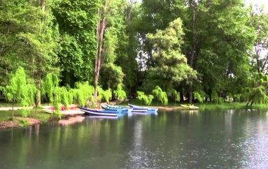 Projektet për bashkinë e Pogradecit, a do të ketë ndërtime në Parkun e Drilonit?