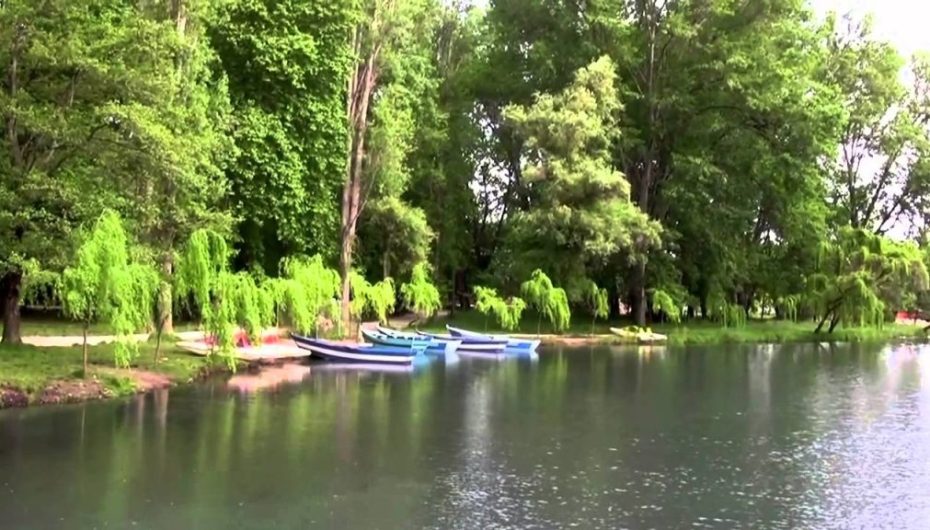 Projektet për bashkinë e Pogradecit, a do të ketë ndërtime në Parkun e Drilonit?