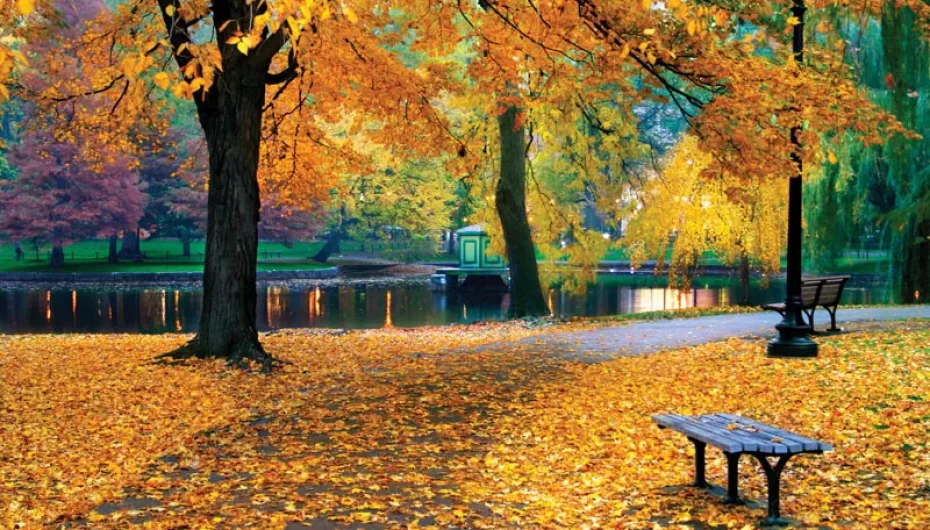 TË PREMTEN ZYRTARISHT VJESHTË: SI TA PËRBALLOJMË KALIMIN NGA VERA NË VJESHTË