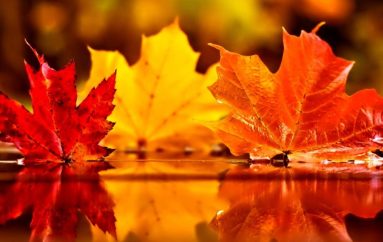 SHTATORI, PSE CILËSOHET SI MUAJI IDEAL PËR PUSHIME