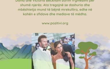 David e Victoria Beckham: Një dashuri përtej famës dhe suksesit