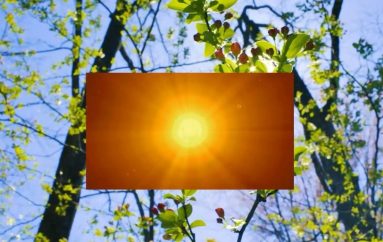 I riu që ndërtoi vetë shtëpiza ekologjike për të pastrehët e tërmetit në Shqipëri