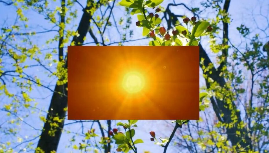 I riu që ndërtoi vetë shtëpiza ekologjike për të pastrehët e tërmetit në Shqipëri