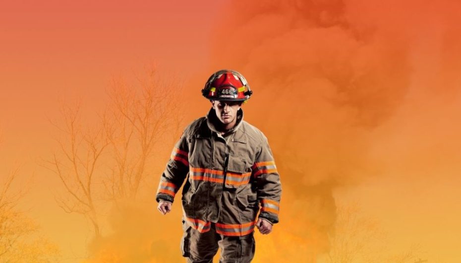 Ikën zjarret me gushtin por dëmi mbetet, është Shqipëria në rrezik ekologjik?