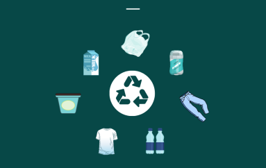 Riciklimi në Shqipëri: Heronjtë e vegjël dhe sfida e sistemit