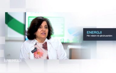 Panelet diellore në një shkollë në Elbasan që nisën një efekt zinxhir kursimi deri në familje