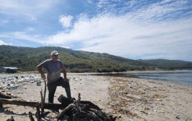 Mikroplastika, nga uji në pjatat tona. Rasti i gaforres blu, të mbushur me mikroplastikë dhe zbulimi i saj në laborator