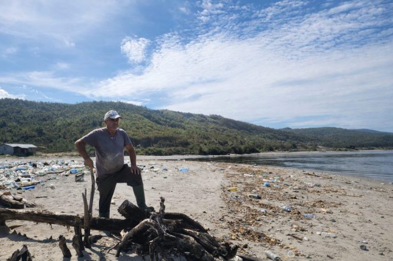 Mikroplastika, nga uji në pjatat tona. Rasti i gaforres blu, të mbushur me mikroplastikë dhe zbulimi i saj në laborator