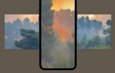 KRIMET MJEDISORE NË SHQIPËRI NGA DJEGIA E PYJEVE TEK TREGTIA E PALIGJSHME E KAFSHËVE TË MBROJTURA