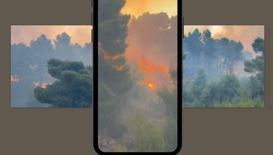 KRIMET MJEDISORE NË SHQIPËRI NGA DJEGIA E PYJEVE TEK TREGTIA E PALIGJSHME E KAFSHËVE TË MBROJTURA