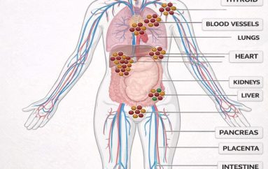 AJRI QË SËMUR! NDOTJA E AJRIT SI KRIZË URBANE DHE SHËNDETËSORE
