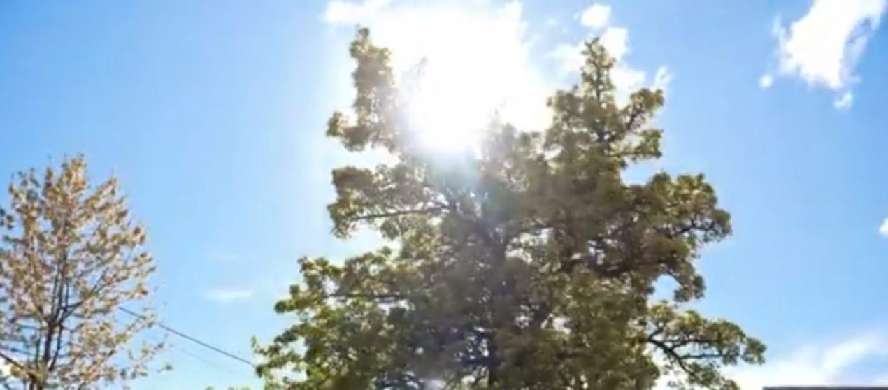 KUR BURRAT IKIN / Fshatrat pa burra: Gratë që mbajnë gjallë Kukësin