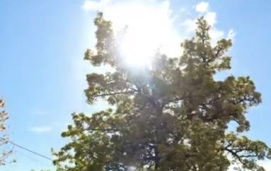 KUR BURRAT IKIN / Fshatrat pa burra: Gratë që mbajnë gjallë Kukësin