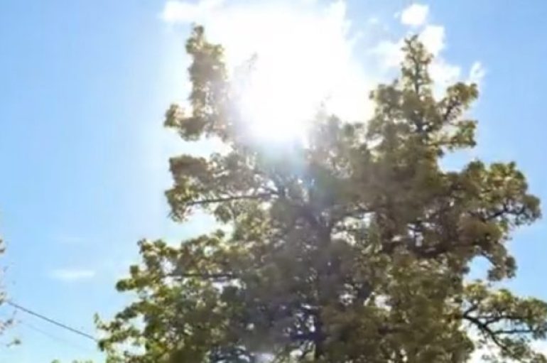 KUR BURRAT IKIN / Fshatrat pa burra: Gratë që mbajnë gjallë Kukësin