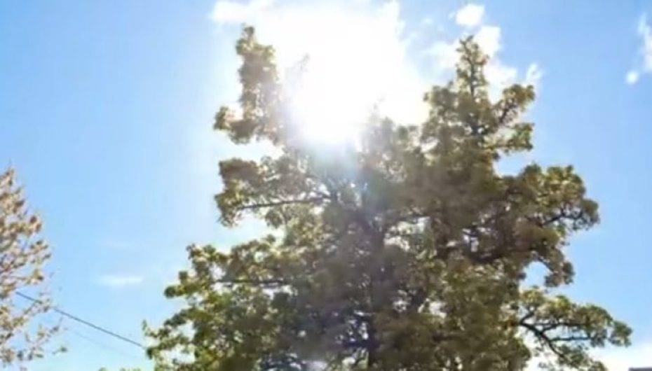 KUR BURRAT IKIN / Fshatrat pa burra: Gratë që mbajnë gjallë Kukësin